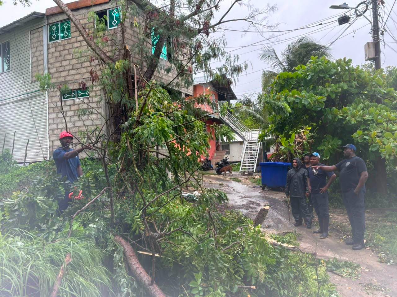 noticias actuales en Colombia, Noticias en venezuela